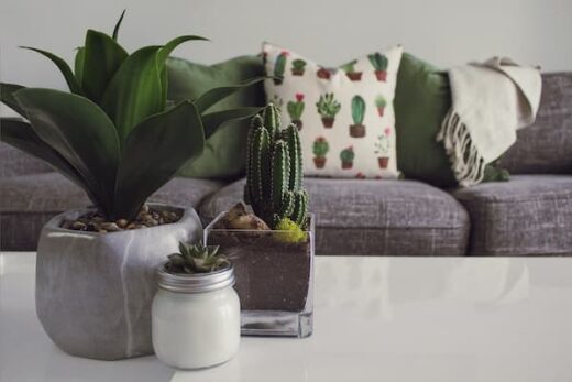 Ten natural plants for better sleep