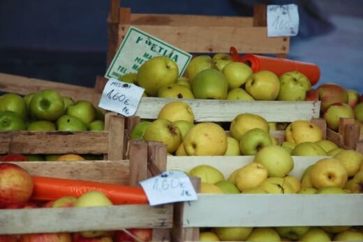 Why choose organic products?