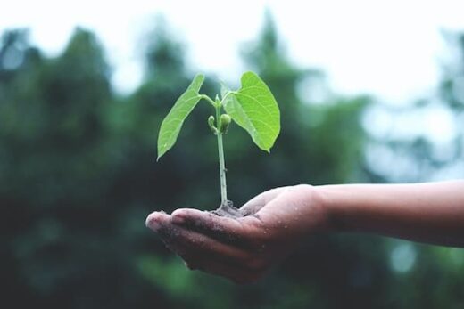 PHYSARO: an eco-responsible policy for a sustainable everyday life