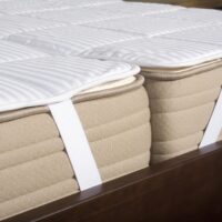 Opinions on Physaro relaxation bedding